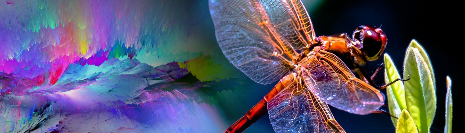 Daxio Design - Careers Daxio Design - Careers