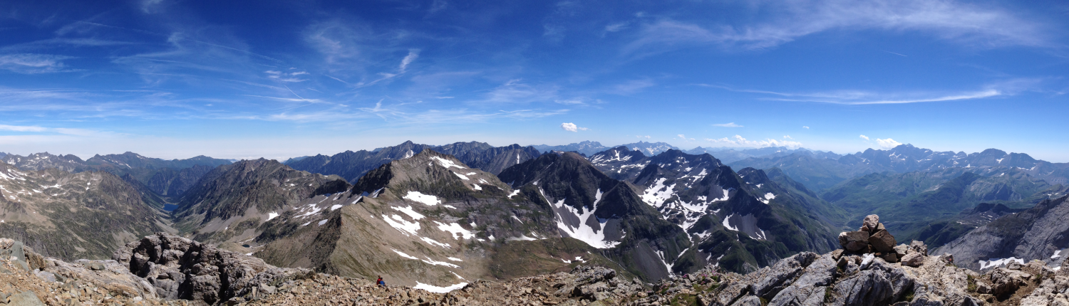 Daxio Design - Client Reviews