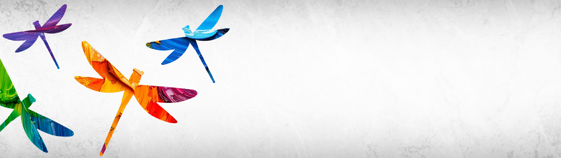 Daxio Design: Creative Advertising Agency