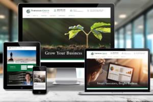 Turnham Green Capital Website