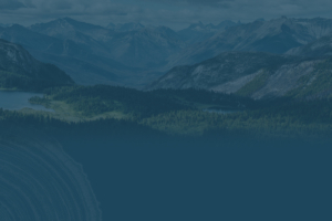 Marketing Campaigns Forest Professionals BC