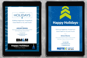BM&M Email Campaigns