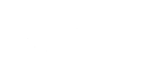 DMSCA Logo